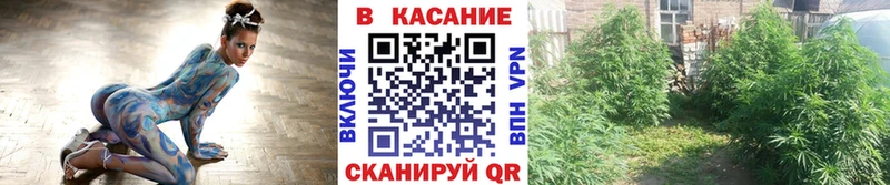 Все наркотики Заводоуковск Амфетамин Меф мяу мяу Героин Гашиш Cocaine Альфа ПВП