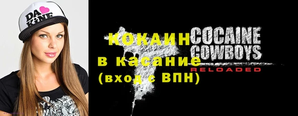 индика Алексеевка