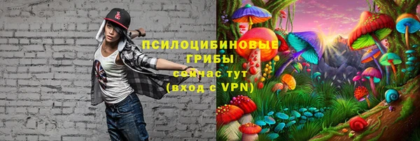 индика Алексеевка