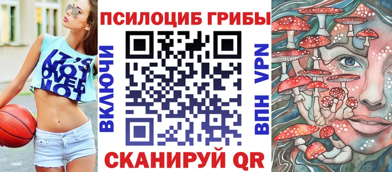 Галлюциногенные грибы мухоморы  Заводоуковск 