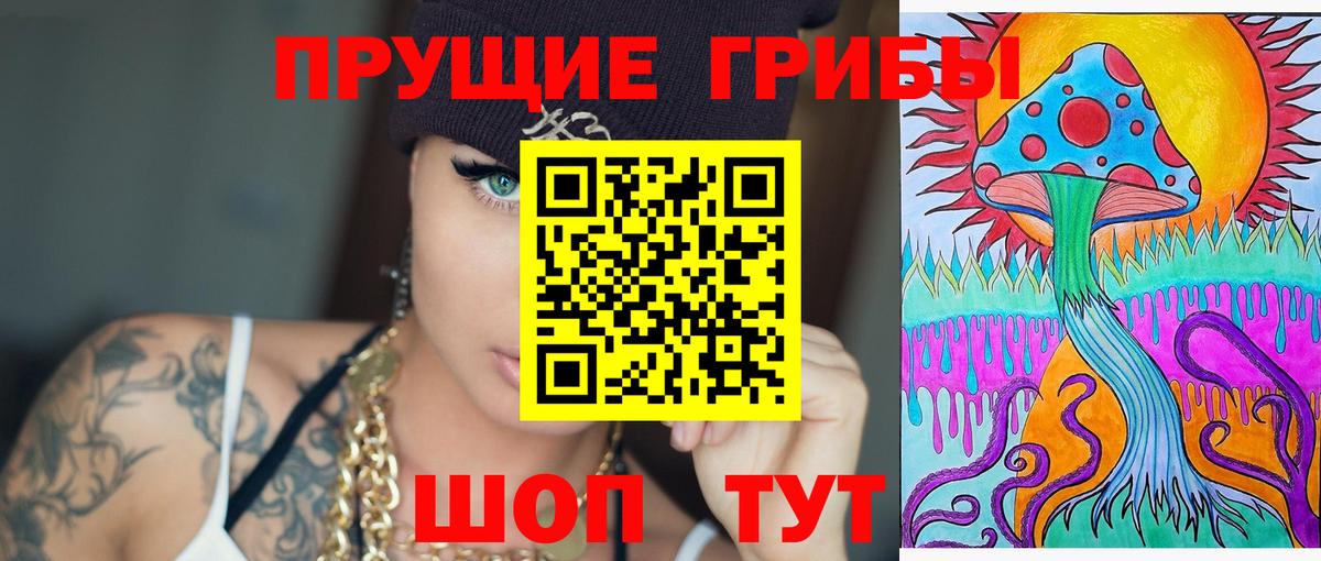 Псилоцибиновые грибы Magic Shrooms  Вход с VPN  Псилоцибиновые грибы Cubensis  Заводоуковск 